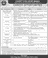 Cadet College Wana Jobs 2025 July Lecturers, IT Officer, Clerks & Others Latest